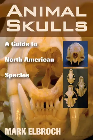 Animal Skulls: A Guide to North American Species Book (by: Mark Elbroch)
