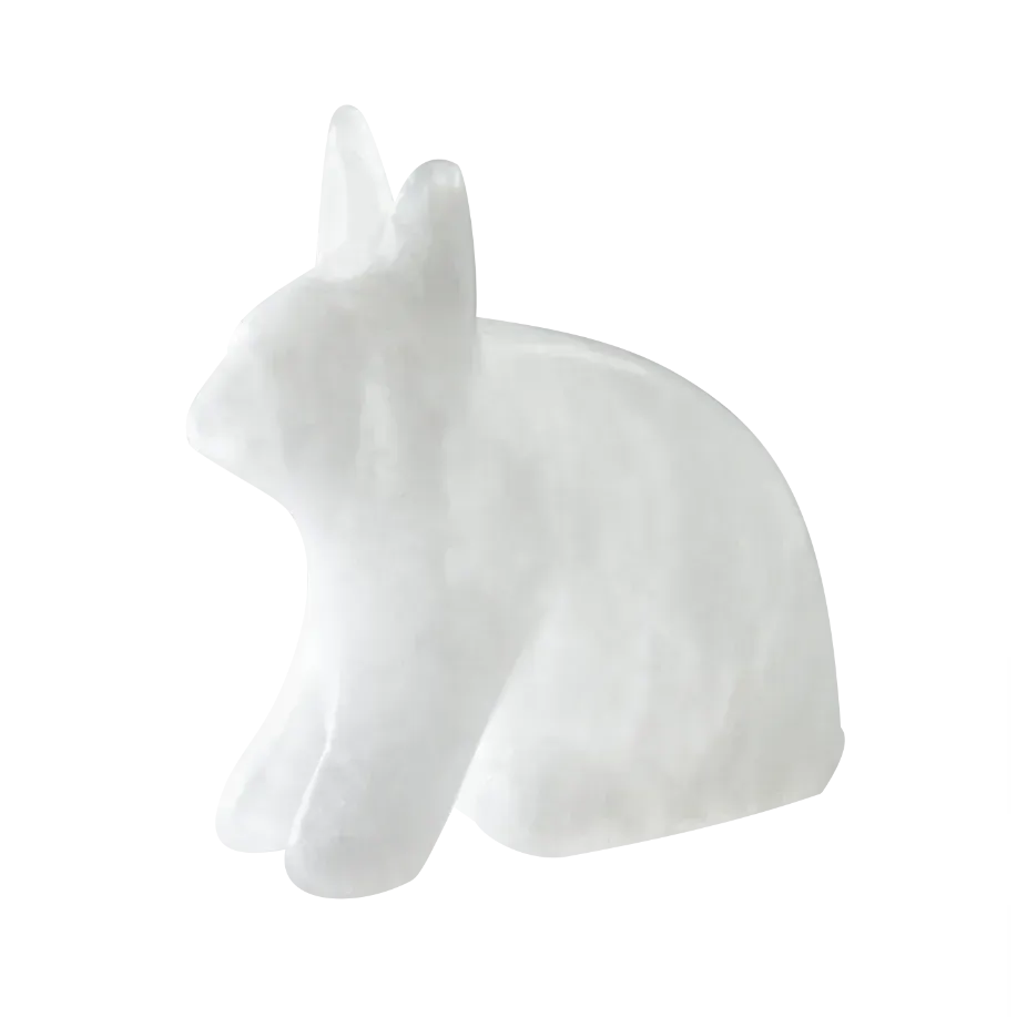 Arctic Hare Alabaster Carving Kit