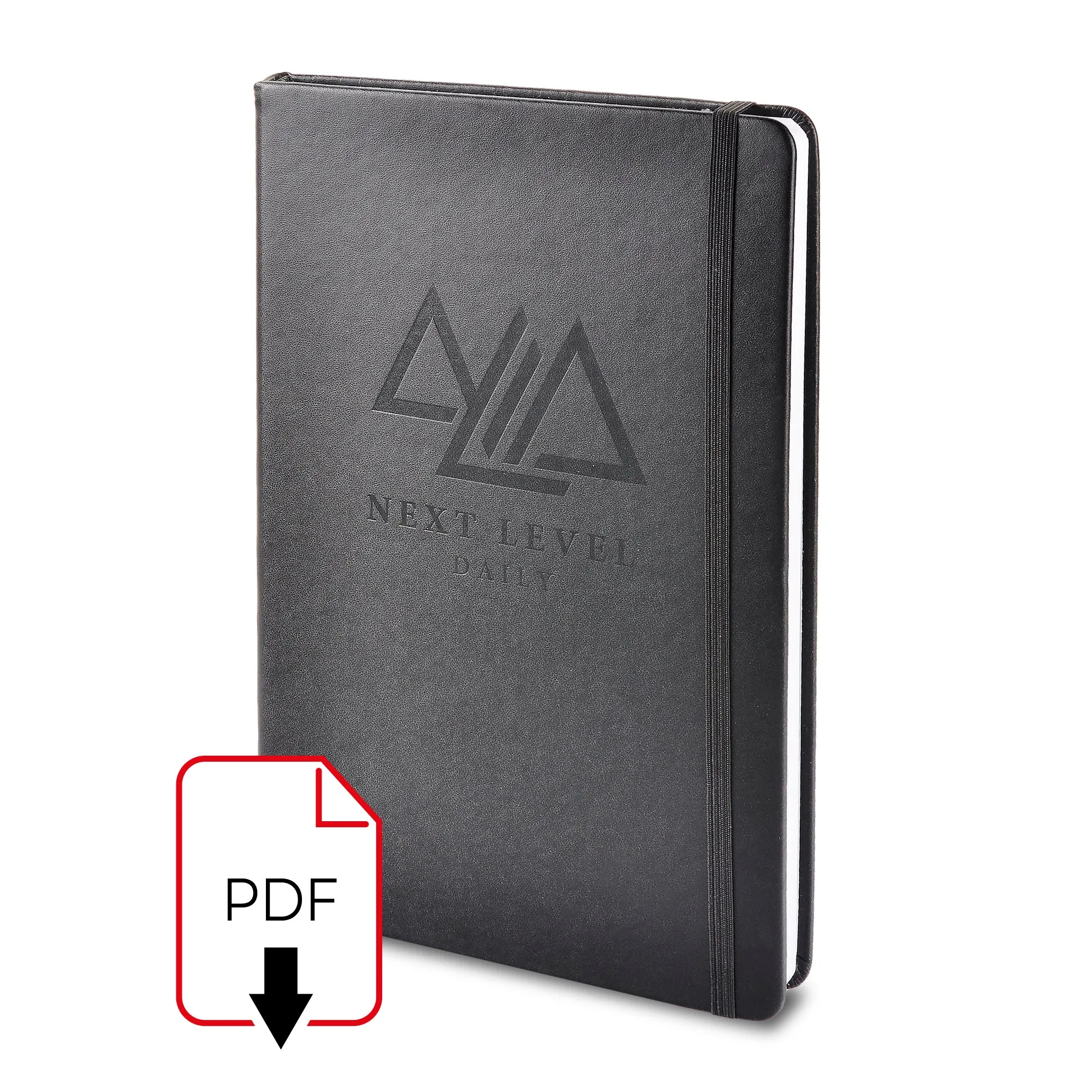 Next Level Daily Planner PDF- FULL Planner