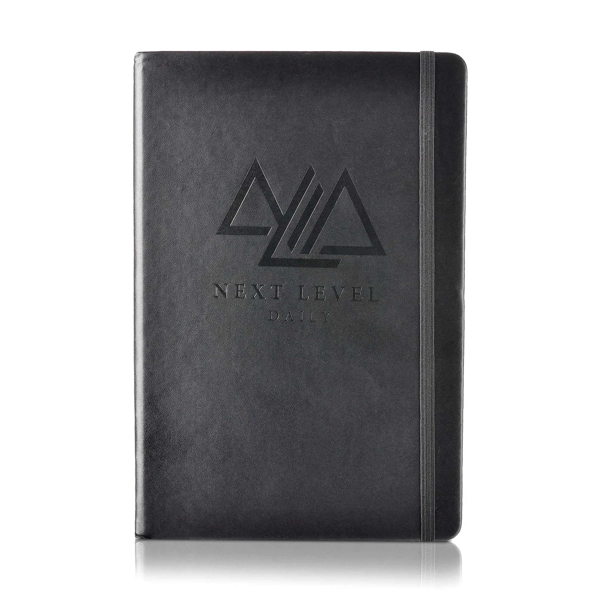 Next Level Daily Planner PDF- FULL Planner
