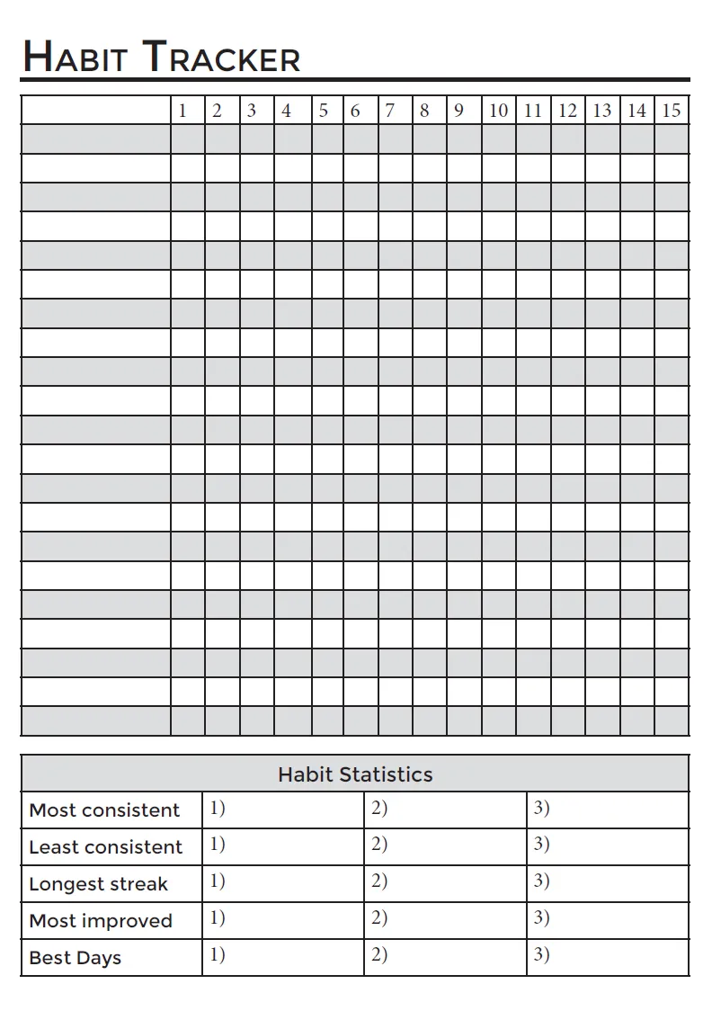 Next Level Daily Planner PDF- FULL Planner