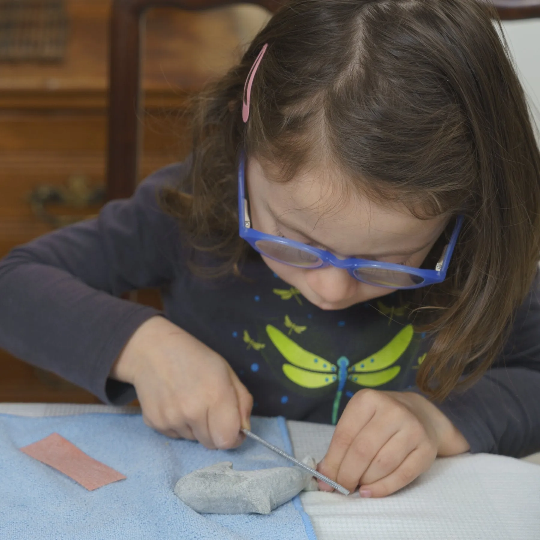 Turtle & Orca Soapstone Carving Kit